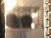 SurveyImage_01_03.png