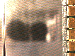 SurveyImage_03_03.png