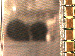 SurveyImage_05_03.png