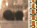 SurveyImage_07_03.png