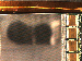 SurveyImage_07_04.png