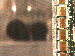 SurveyImage_11_03.png