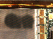 SurveyImage_13_04.png