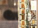 SurveyImage_25_03.png