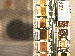 SurveyImage_27_03.png