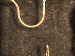 SurveyImage_29_03.png