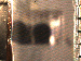 SurveyImage_01_03.png