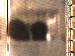 SurveyImage_03_03.png