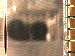 SurveyImage_05_03.png