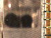 SurveyImage_07_03.png