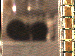 SurveyImage_09_03.png