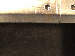 SurveyImage_10_06.png