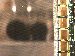 SurveyImage_13_03.png