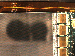 SurveyImage_13_04.png