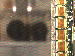 SurveyImage_15_03.png