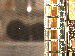 SurveyImage_21_03.png