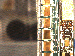 SurveyImage_27_03.png
