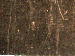 SurveyImage_30_02.png