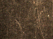 SurveyImage_30_03.png
