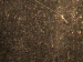 SurveyImage_30_04.png