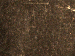 SurveyImage_30_06.png
