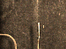 SurveyImage_29_04.png