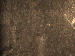 SurveyImage_29_05.png