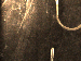 SurveyImage_01_03.png