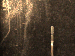 SurveyImage_01_04.png