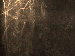 SurveyImage_01_05.png
