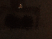 SurveyImage_23_03.png