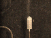 SurveyImage_29_04.png