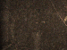 SurveyImage_29_05.png