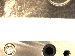 SurveyImage_01_01.png