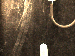 SurveyImage_01_03.png
