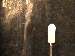 SurveyImage_01_04.png