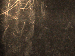 SurveyImage_01_05.png