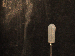 SurveyImage_01_04.png