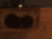 SurveyImage_21_03.png