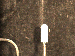 SurveyImage_29_04.png