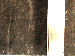 SurveyImage_30_02.png