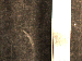 SurveyImage_30_03.png