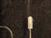 SurveyImage_29_04.png