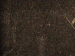SurveyImage_29_05.png