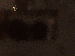 SurveyImage_08_03.png