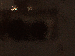 SurveyImage_10_03.png