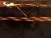 SurveyImage_10_04.png
