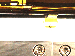 SurveyImage_12_01.png