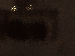 SurveyImage_12_03.png