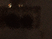 SurveyImage_13_03.png